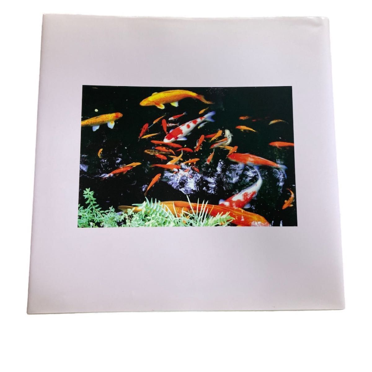 非売品】池田大作 写真集 自然との対話 平和の曲 副本部宛贈呈品 即