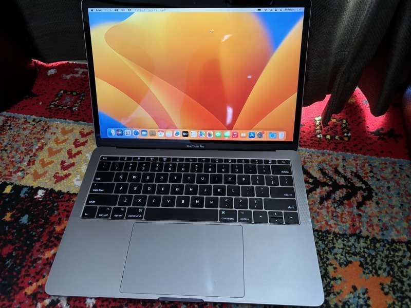 状態正常 充放電回数213回 MacBook Pro 13-inch 2017 Two Thunderbolt