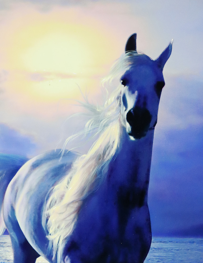 Yahoo!オークション - ラッセン 【アラビアンナイツ（S）】 馬 浜辺