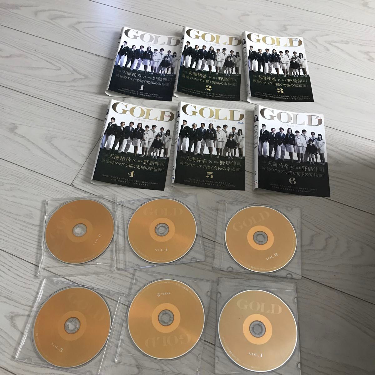 野島伸司GOLD完全版 全6枚 第1話〜最終話 全巻DVDテレビドラマ天海祐希