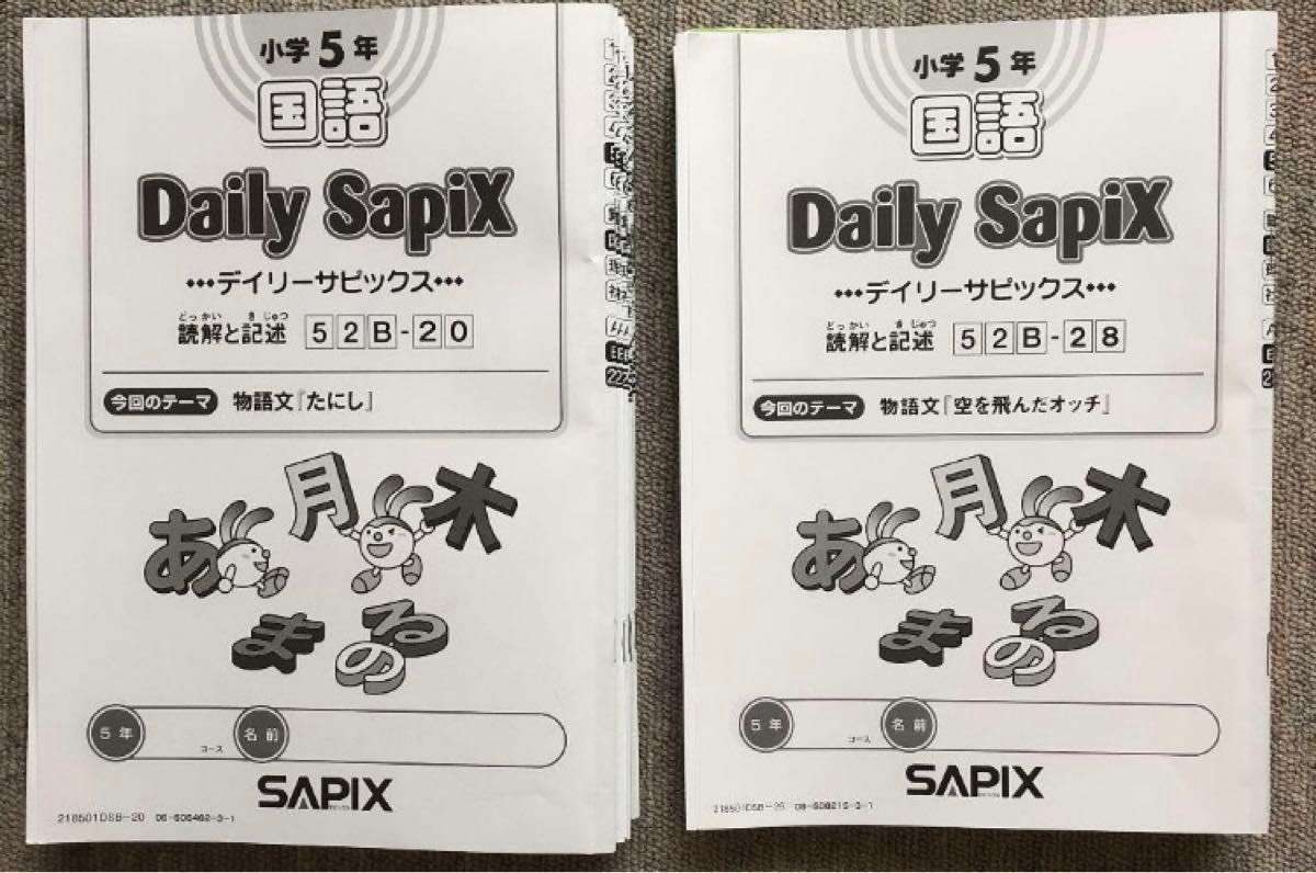 サピックス 5年生 国語読解 テキスト デイリーサピックス 小五 sapix