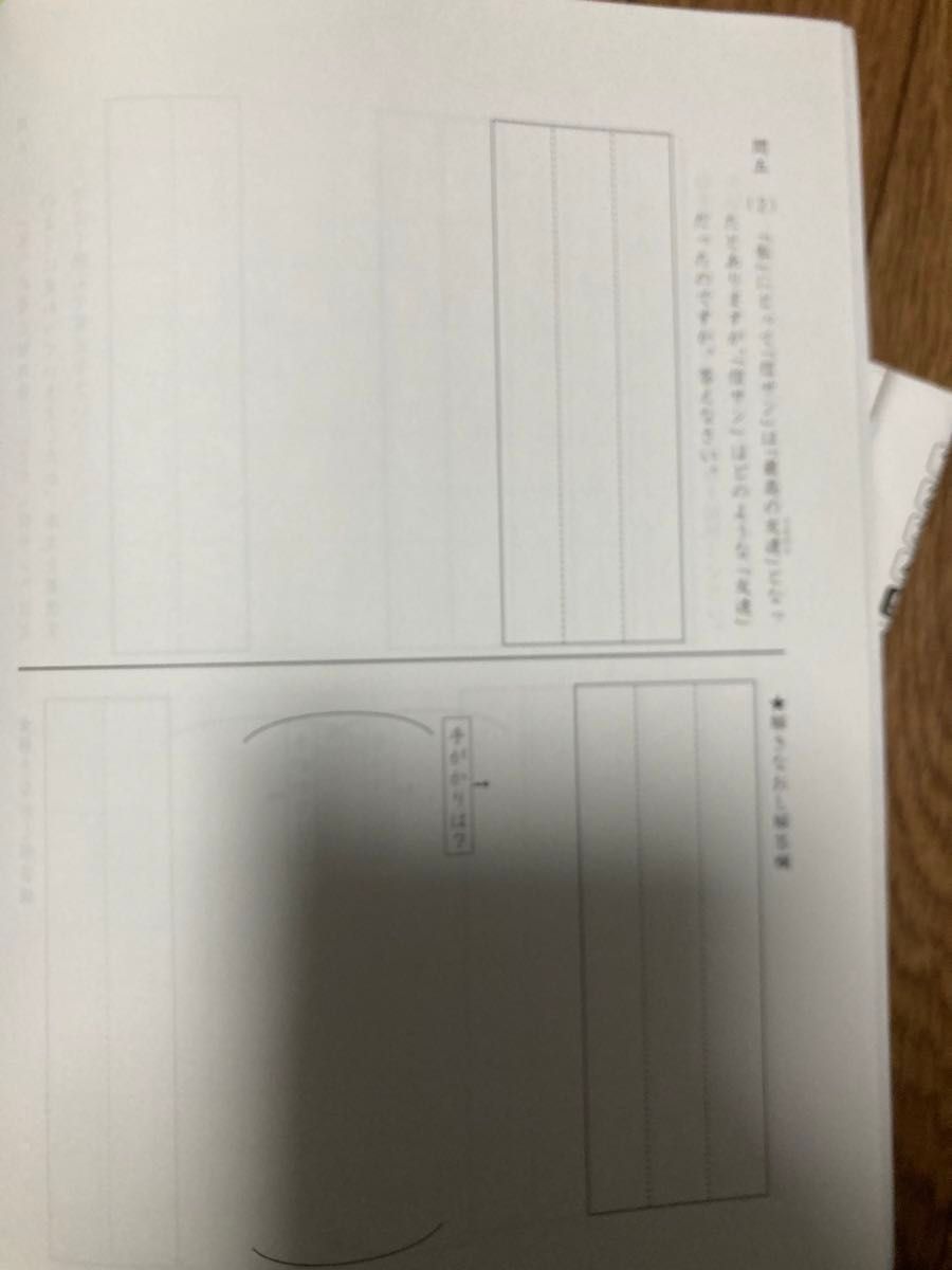 サピックス 5年生 国語読解 テキスト デイリーサピックス 小五 sapix