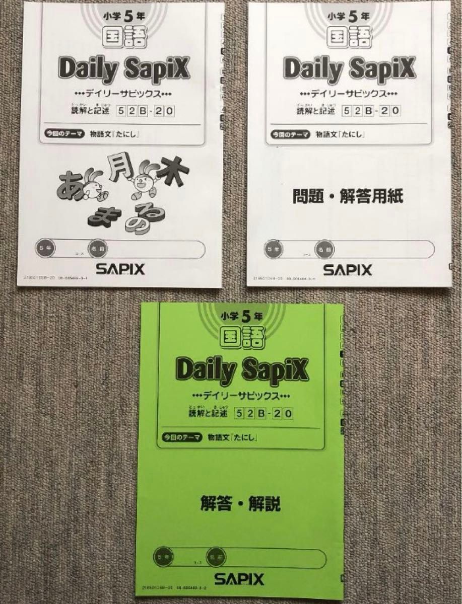 サピックス 5年生 国語読解 テキスト デイリーサピックス 小五 sapix