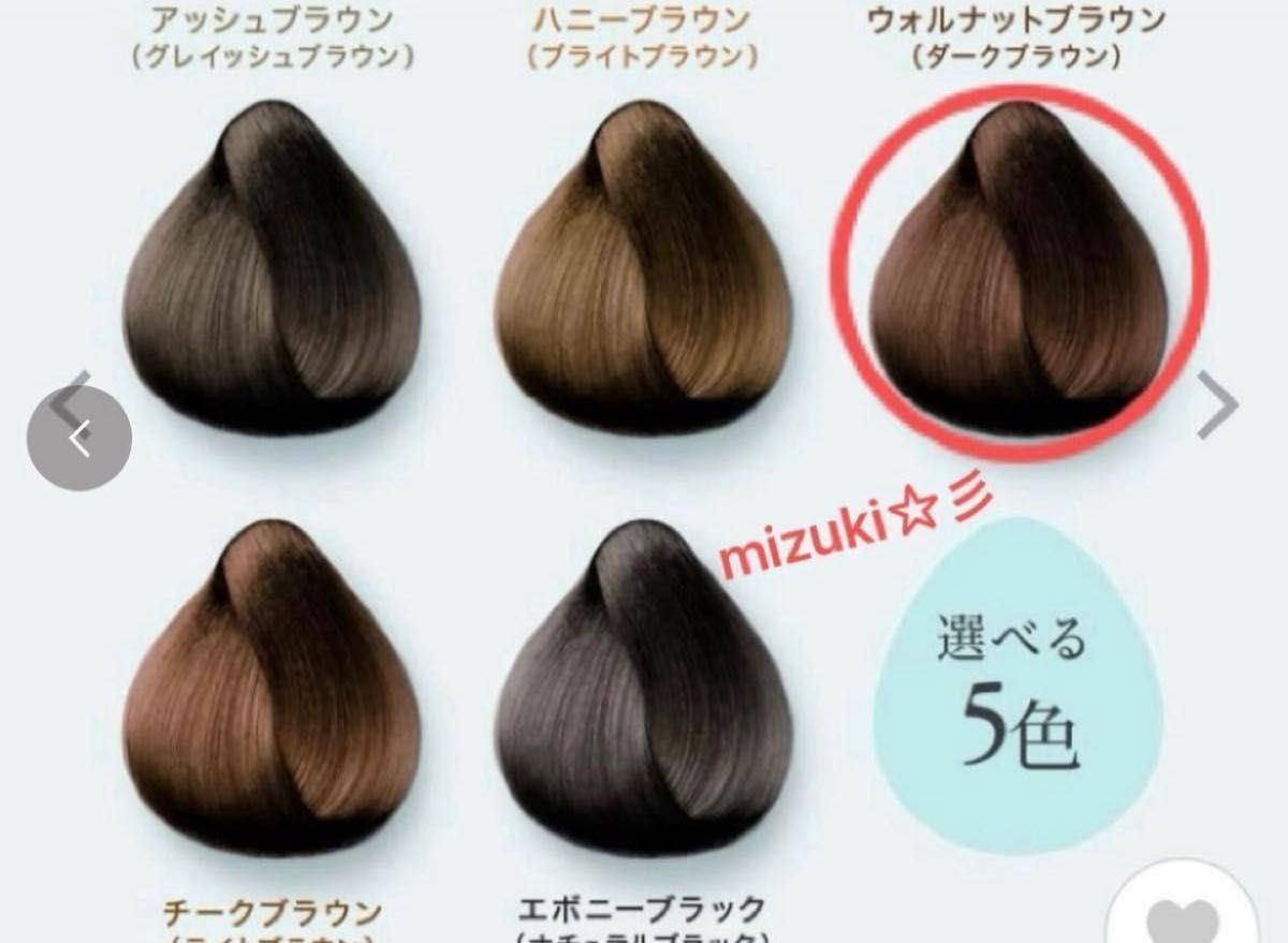 LPLP ルプルプ エッセンスカラートリートメント ウォルナットブラウン