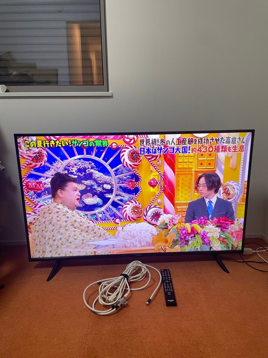 2019年製 50V型 4K 液晶テレビ 50UB10P 外付け裏番組録画対応 アイリス