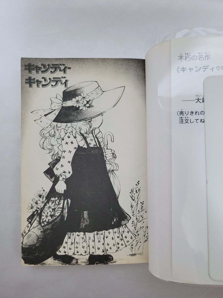 不朽の名作キャンディキャンディ全巻9巻[完]/全巻新装版/良品/K04