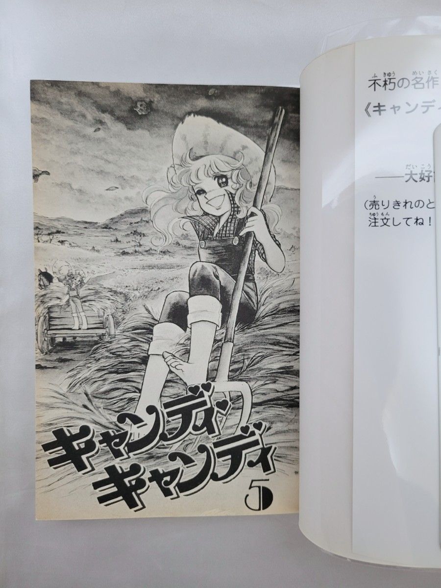 不朽の名作キャンディキャンディ全巻9巻[完]/全巻新装版/良品/K04
