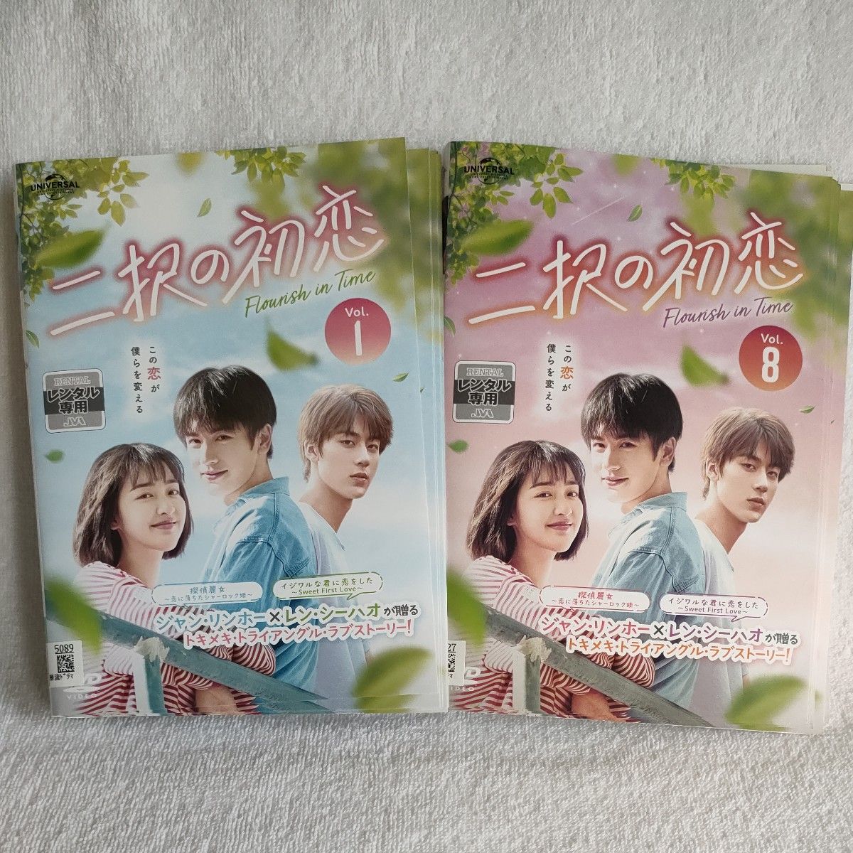 二択の初恋 DVD 中国ドラマ 全巻 ドン・エンシー ジャン・リンホー