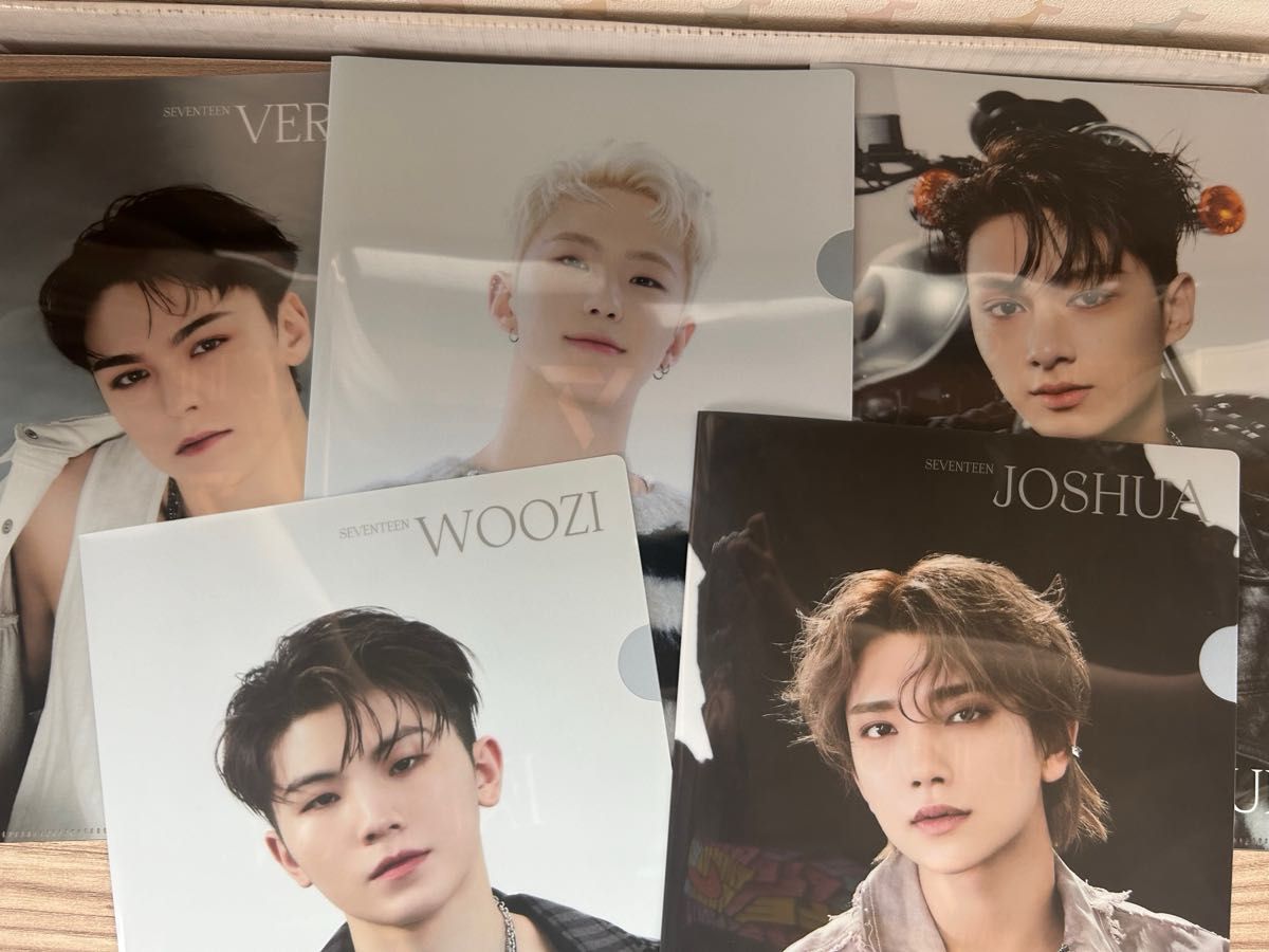 SEVENTEEN クリアファイル 5枚セット（バーノン ジョシュア ウジ ホシ
