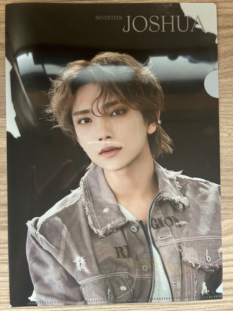 SEVENTEEN クリアファイル 5枚セット（バーノン ジョシュア ウジ ホシ