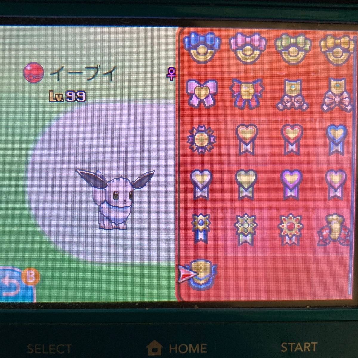 ポケットモンスター ムーン 配信色イーブイ 6 7世代リボンコンプ197