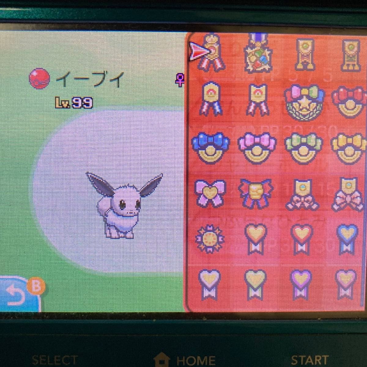 ポケットモンスター ムーン 配信色イーブイ 6 7世代リボンコンプ197