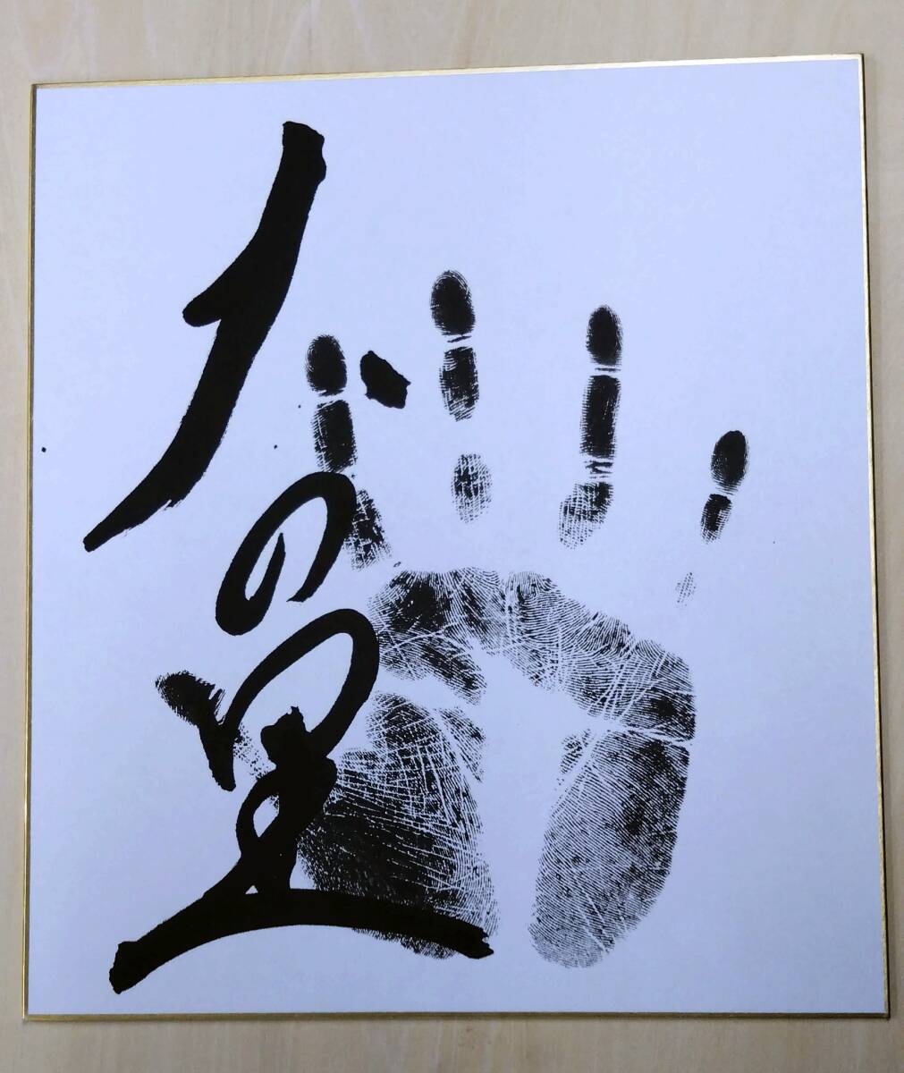 Yahoo!オークション - 大相撲手形直筆サイン 大の里