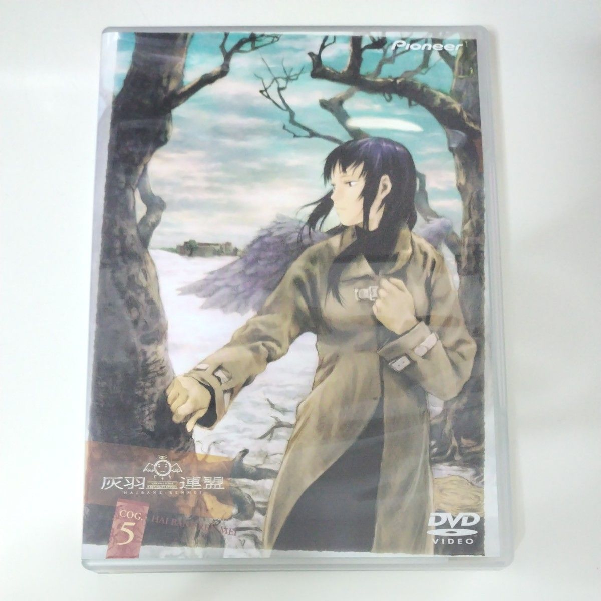 灰羽連盟 COG．5／安倍吉俊 （脚本 シリーズ構成） ところともかず