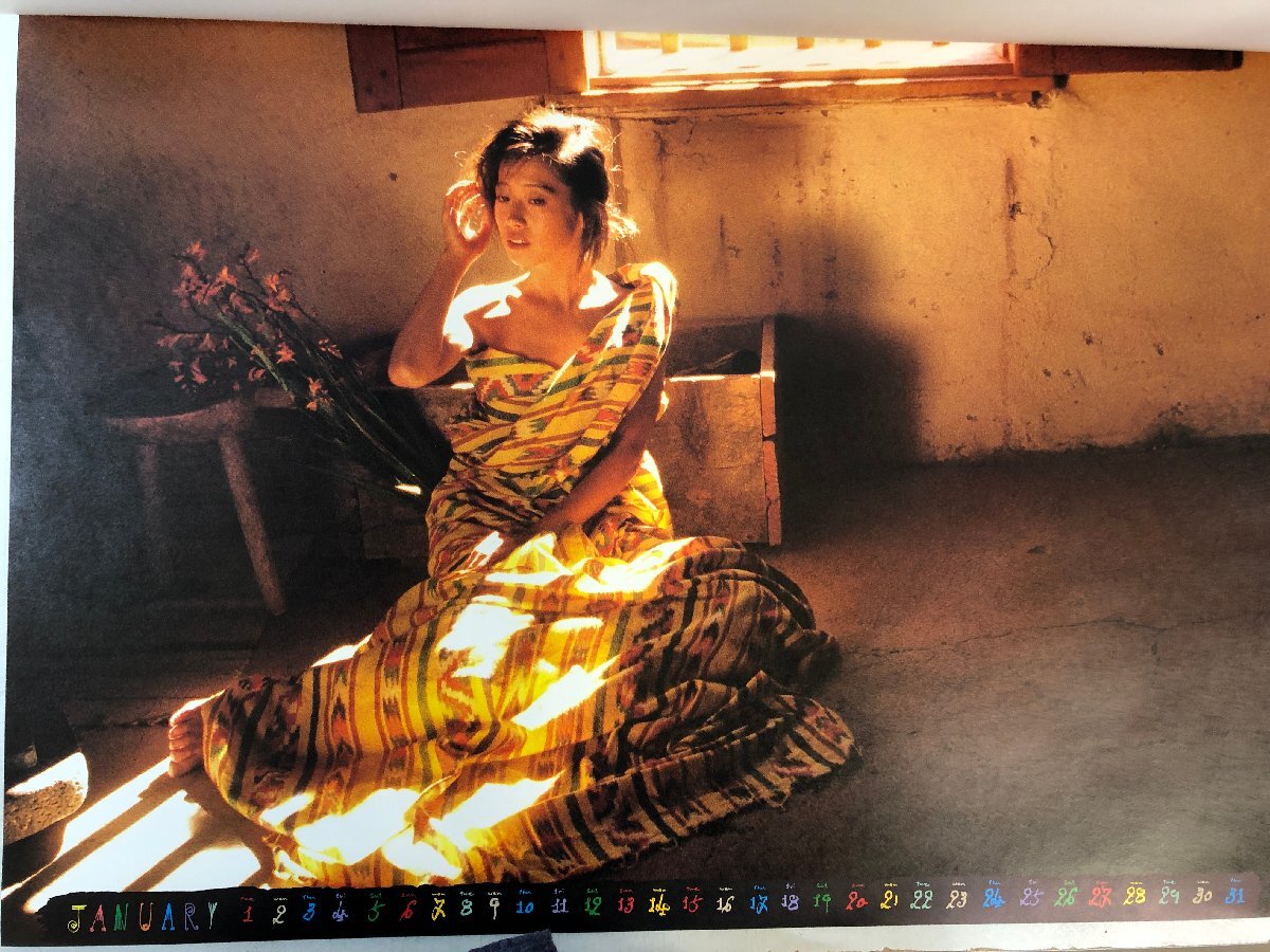 Yahoo!オークション - 【カレンダー】中森明菜 1991年 カレンダー A2サ