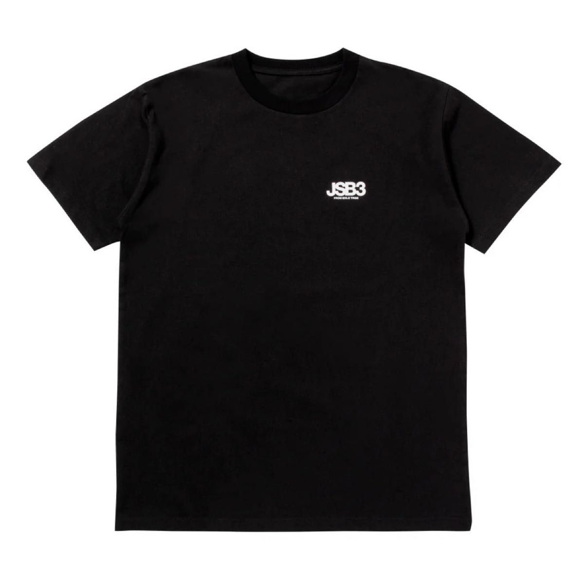 三代目J Soul Brothers 10周年ツアーTシャツ Lサイズ 歴代ツアーロゴ