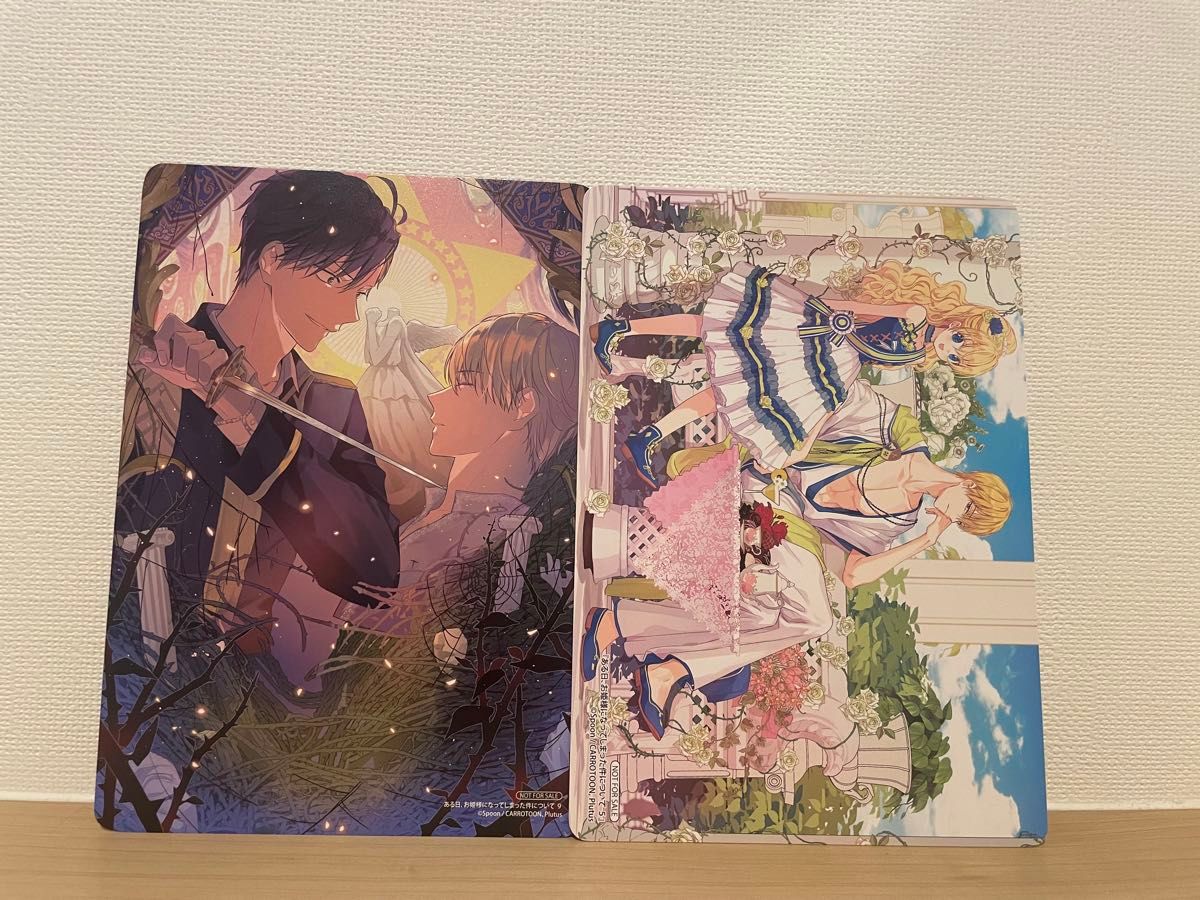 ある日 お姫様になってしまった件について 1～9巻 全巻 (既刊) 特典