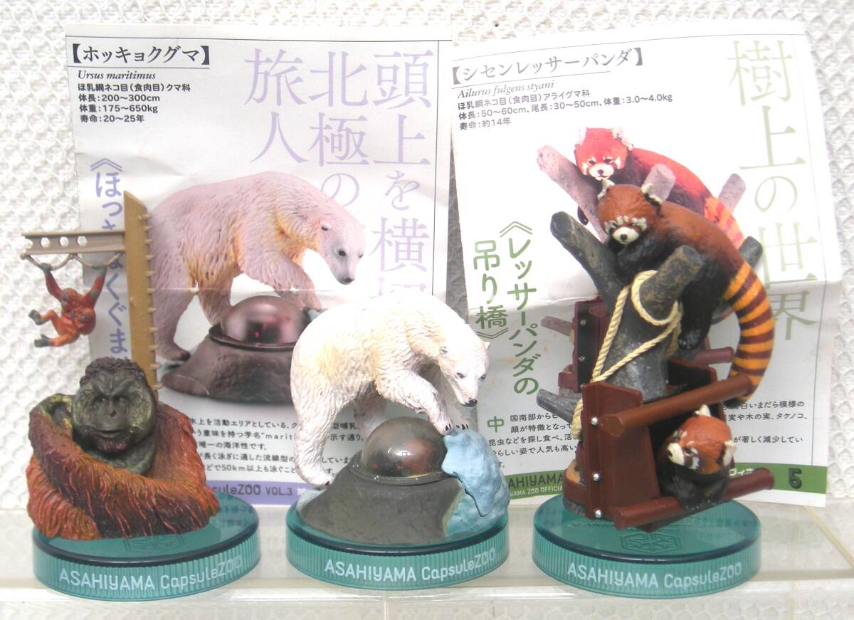 海洋堂 旭山動物園 ガチャガチャ フィギュア 旭山動物園公式グッズ