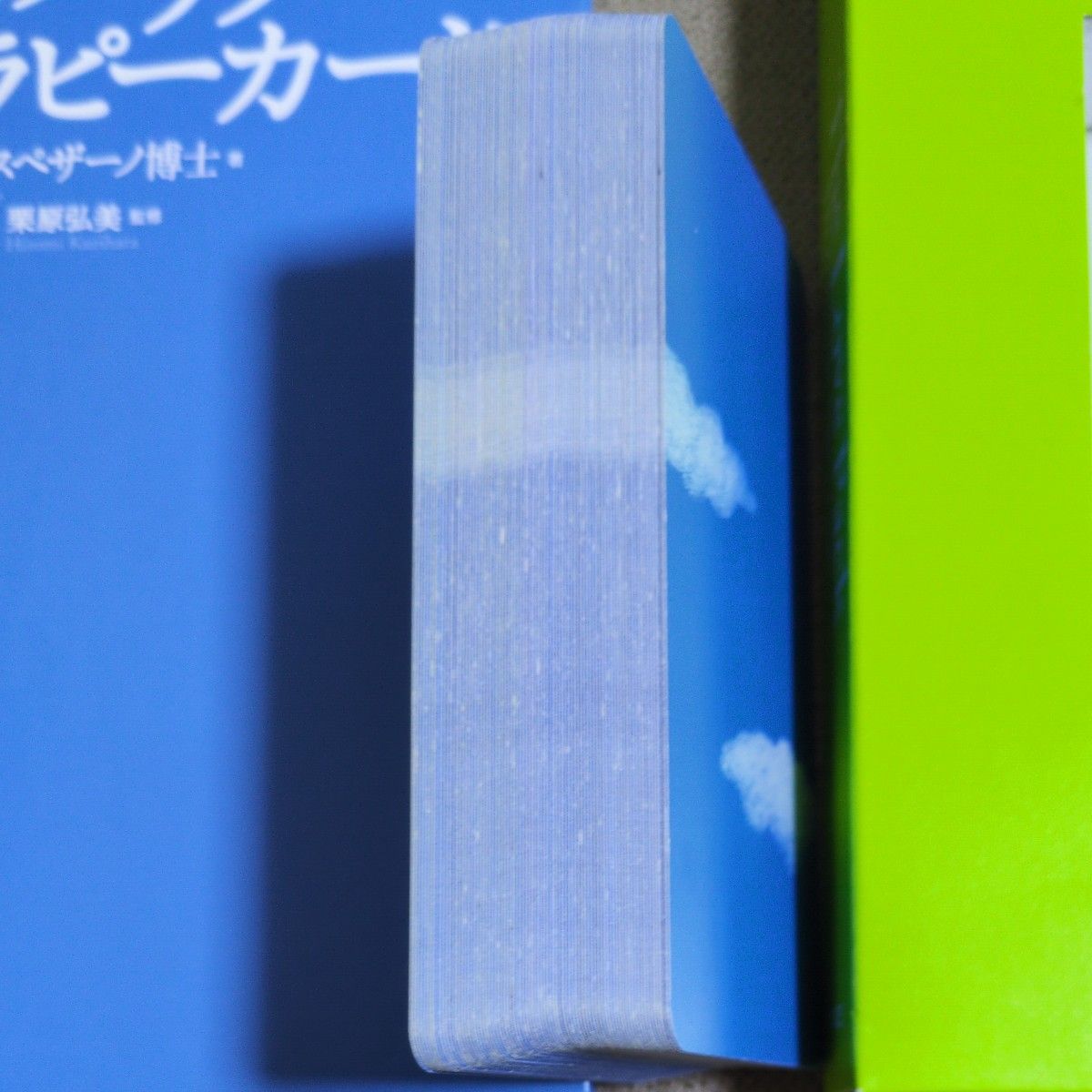 希少 ラブパックセラピーカード美品｜Yahoo!フリマ（旧PayPayフリマ）