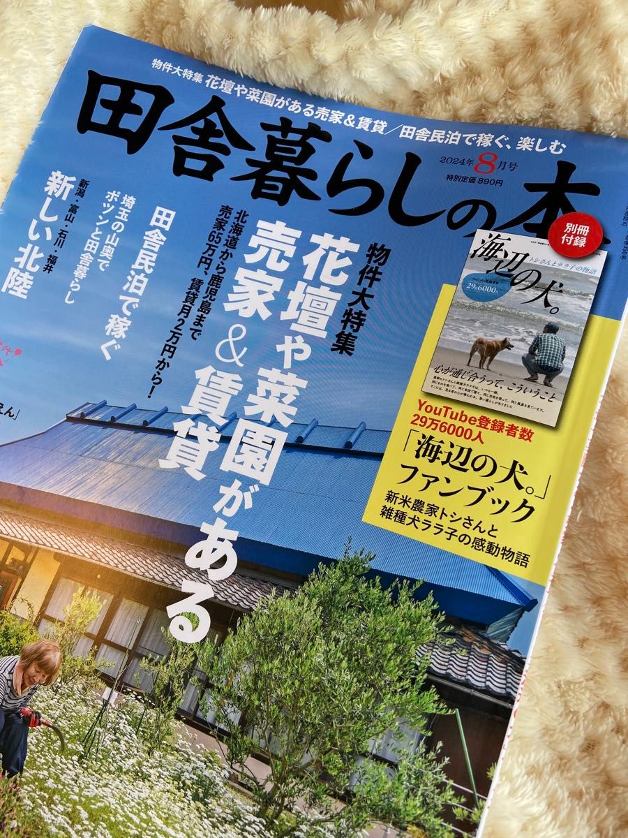 田舎暮らしの本 2024年8月号 海辺の犬 別冊ファンブック付｜Yahoo