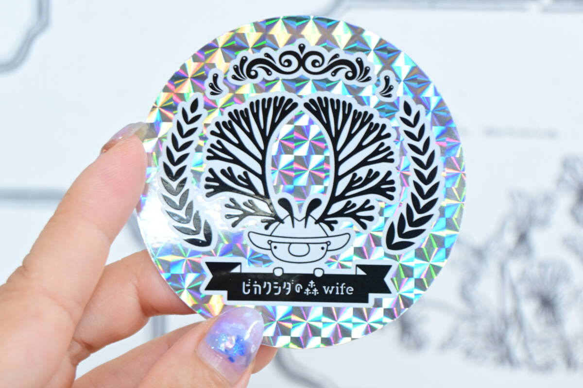 金童 P willinckii 'Golden boy' spored③ ＠ビカ森wife ゴールデン