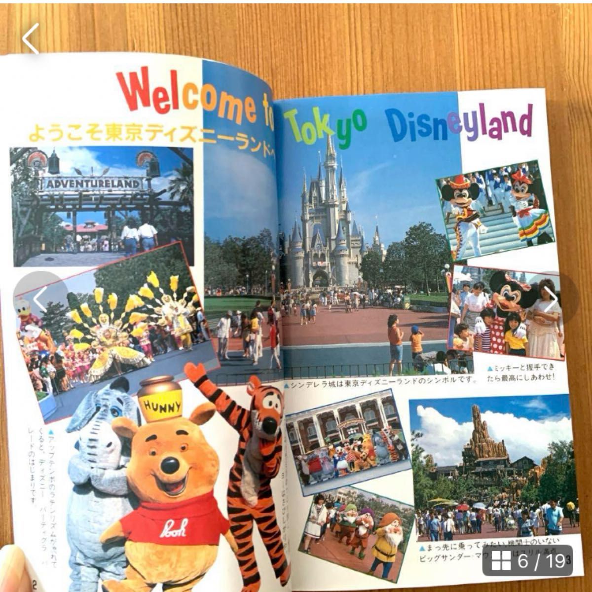 東京ディズニーランド ポケット百科 最新版｜Yahoo!フリマ（旧PayPay