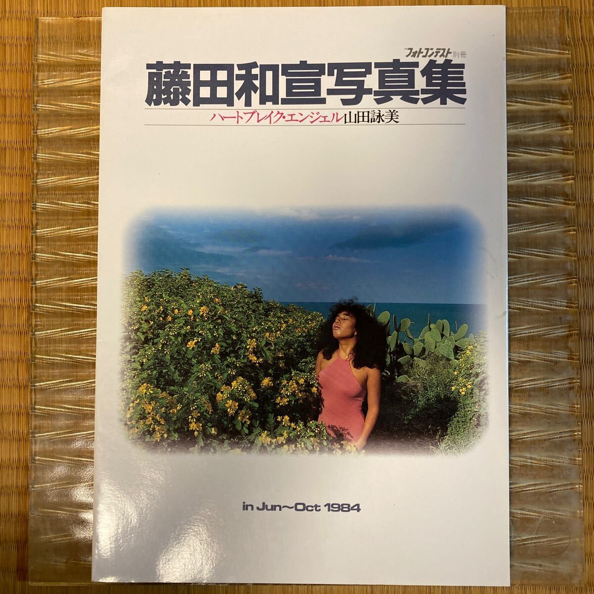 Yahoo!オークション - 日本フォトコンテスト別冊 藤田和宣写真集 ハー