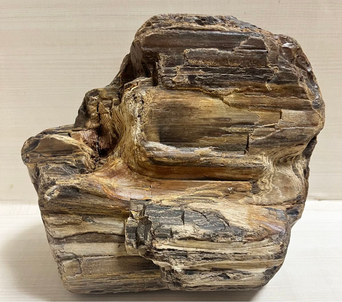 珪化木 木化石 庭石 鑑賞石 天然石 置物 インテリア 約5キロ｜Yahoo