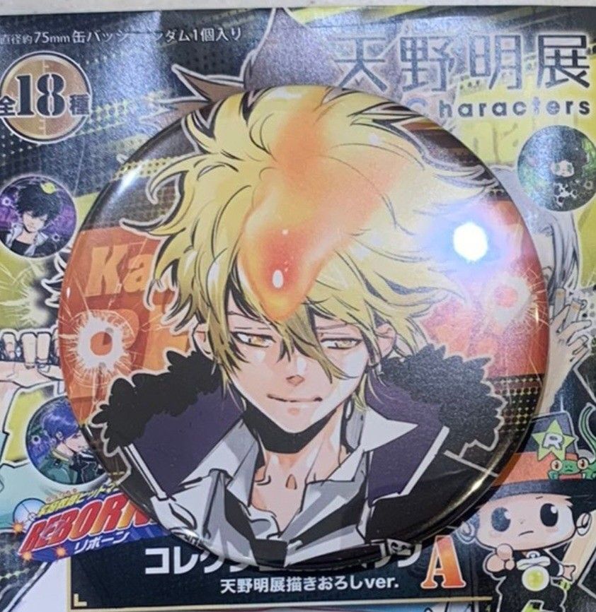 天野明展 ボンゴレⅠ世 プリーモ 缶バッジ 家庭教師ヒットマンREBORN