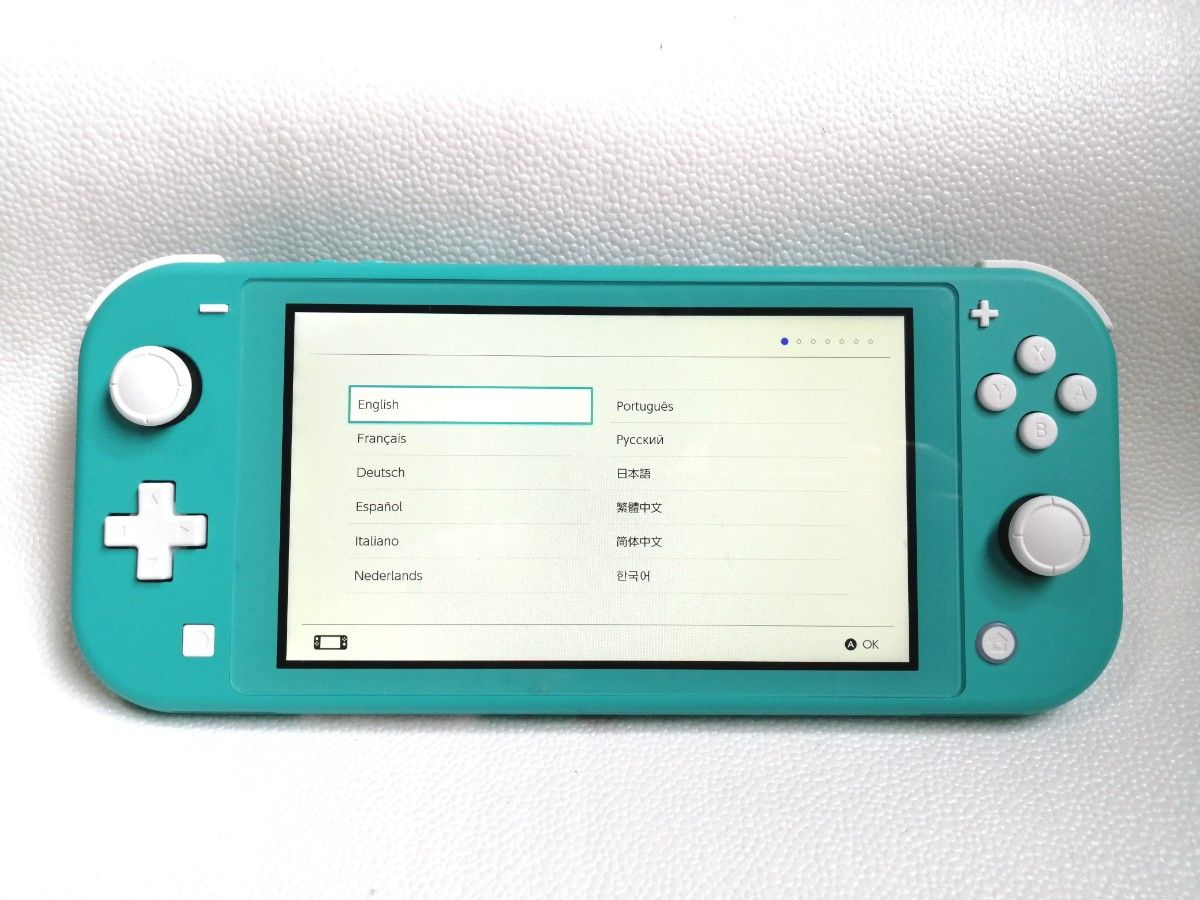 作動確認済(美品・訳アリ特価) Nintendo Switch LITE ニンテンドー