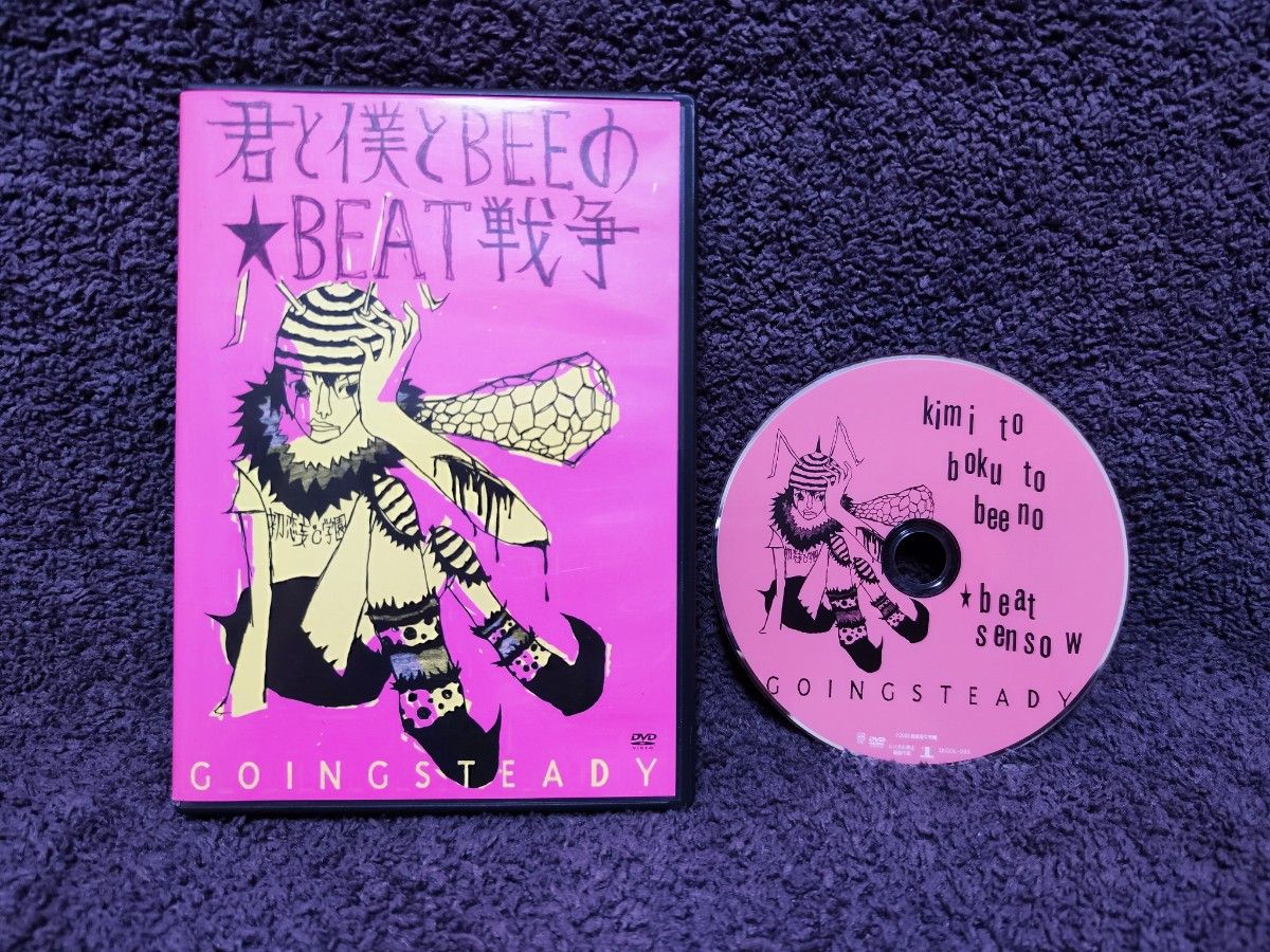 16点セット】GOING STEADY / 銀杏BOYZ / 峯田和伸 CD アルバム｜Yahoo