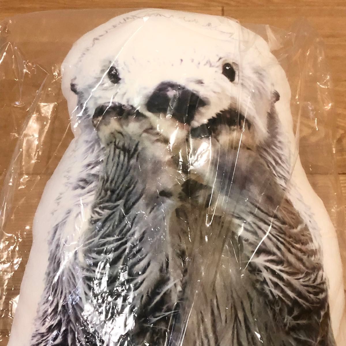 鳥羽水族館 キラメイクッション ラッコ イキラグッズ メイ キラ めい