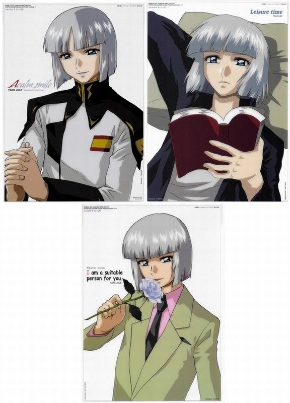 機動戦士ガンダムSEED DESTINY イザーク・ジュール フォトコレクション