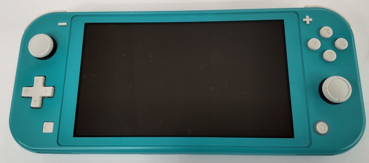 ジャンク Nintendo Switch Lite ニンテンドースイッチライト ジャンク