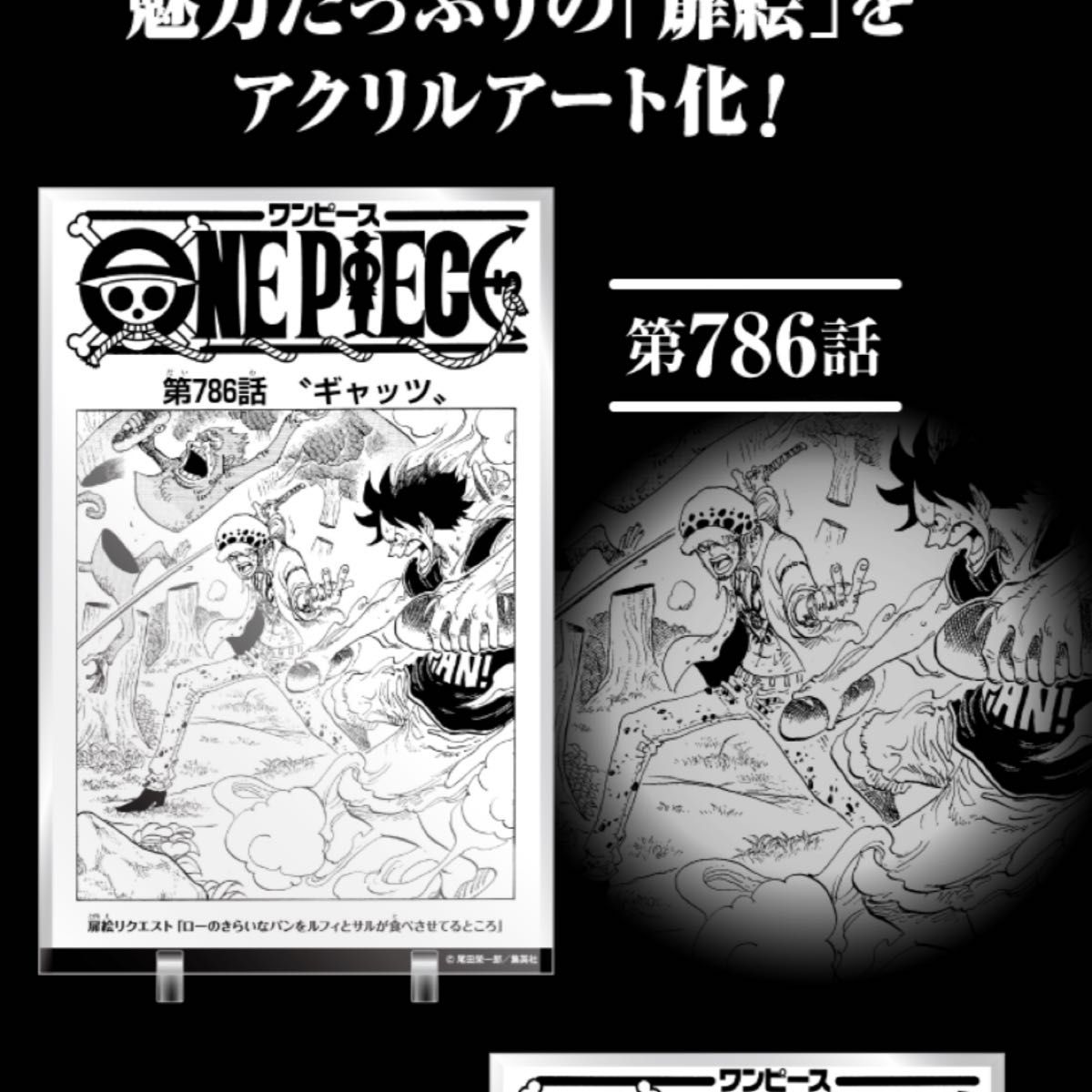 ONE PIECE ワンピース 週刊少年ジャンプ 応募者全員サービス マンガ