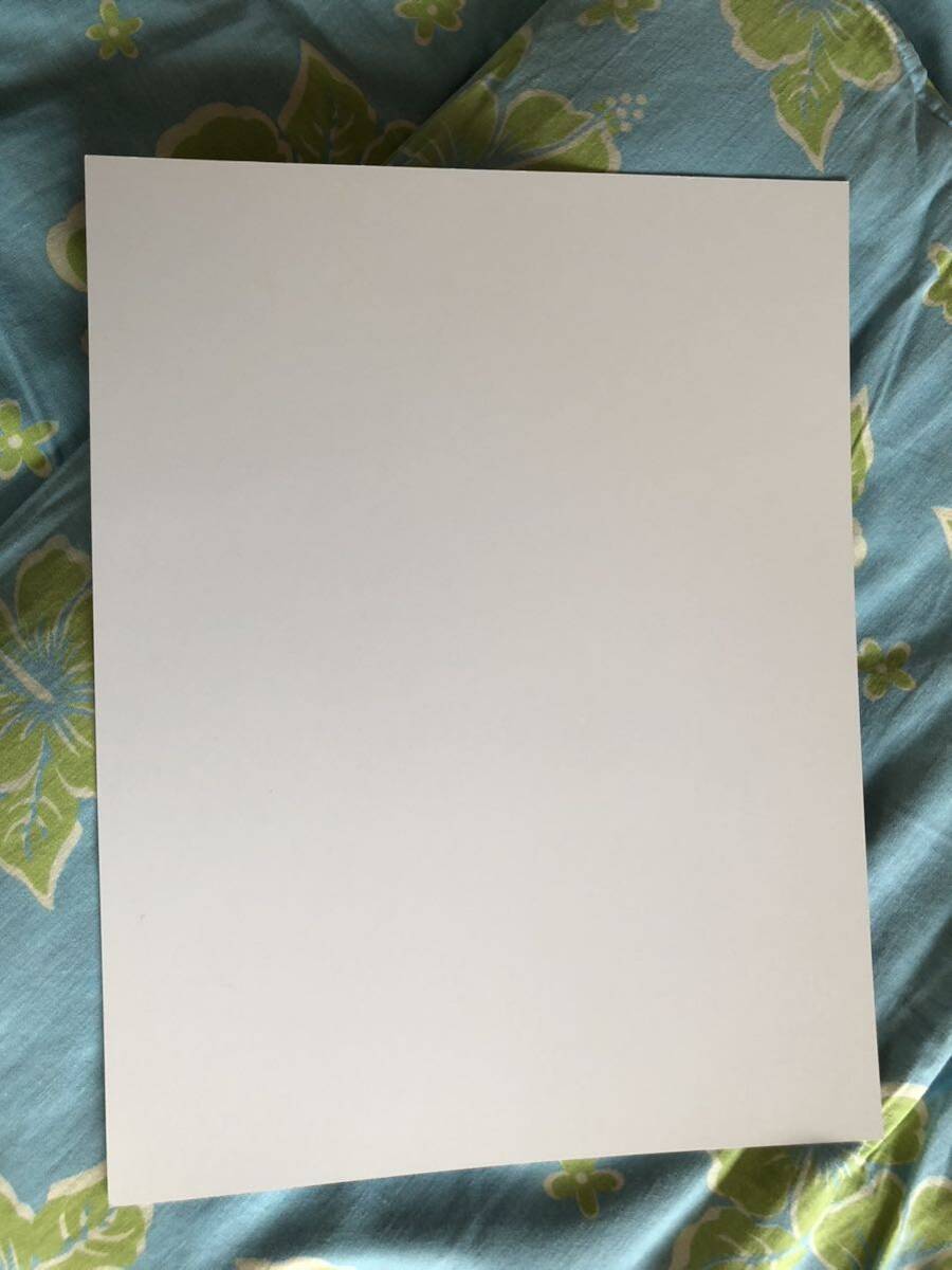 海外限定 正規品 青の祓魔師 Anime Expo 2016 ミニポスター 大判