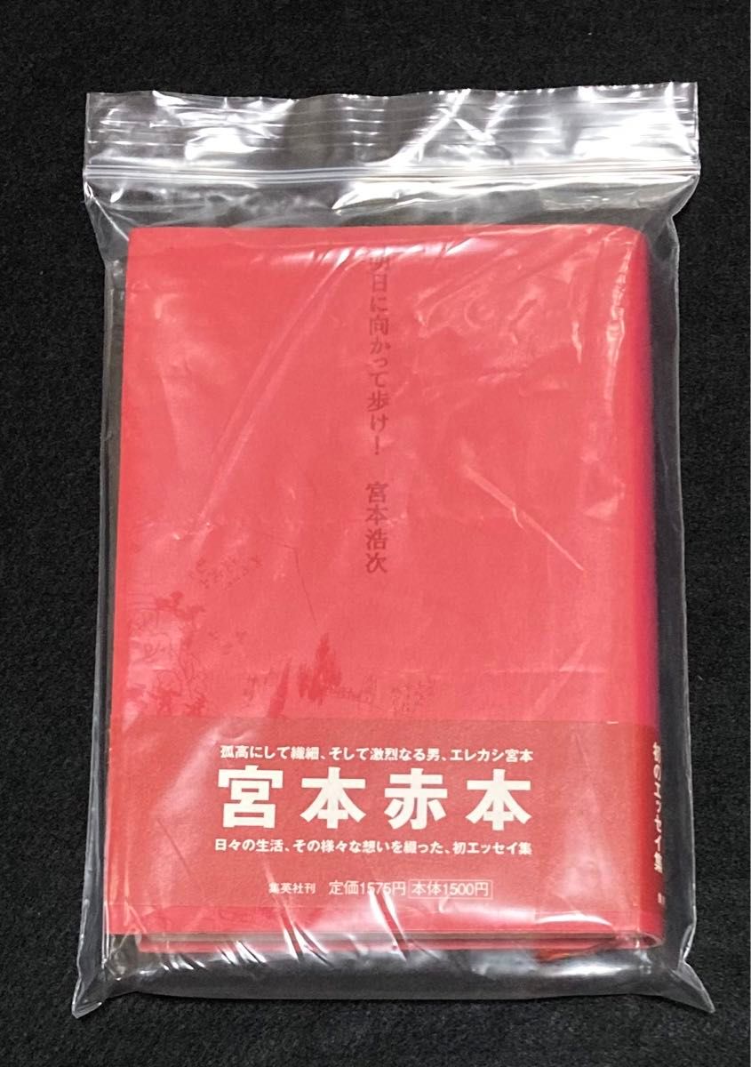 宮本浩次 『明日に向かって歩け 』エレファントカシマシ エレカシ 初版