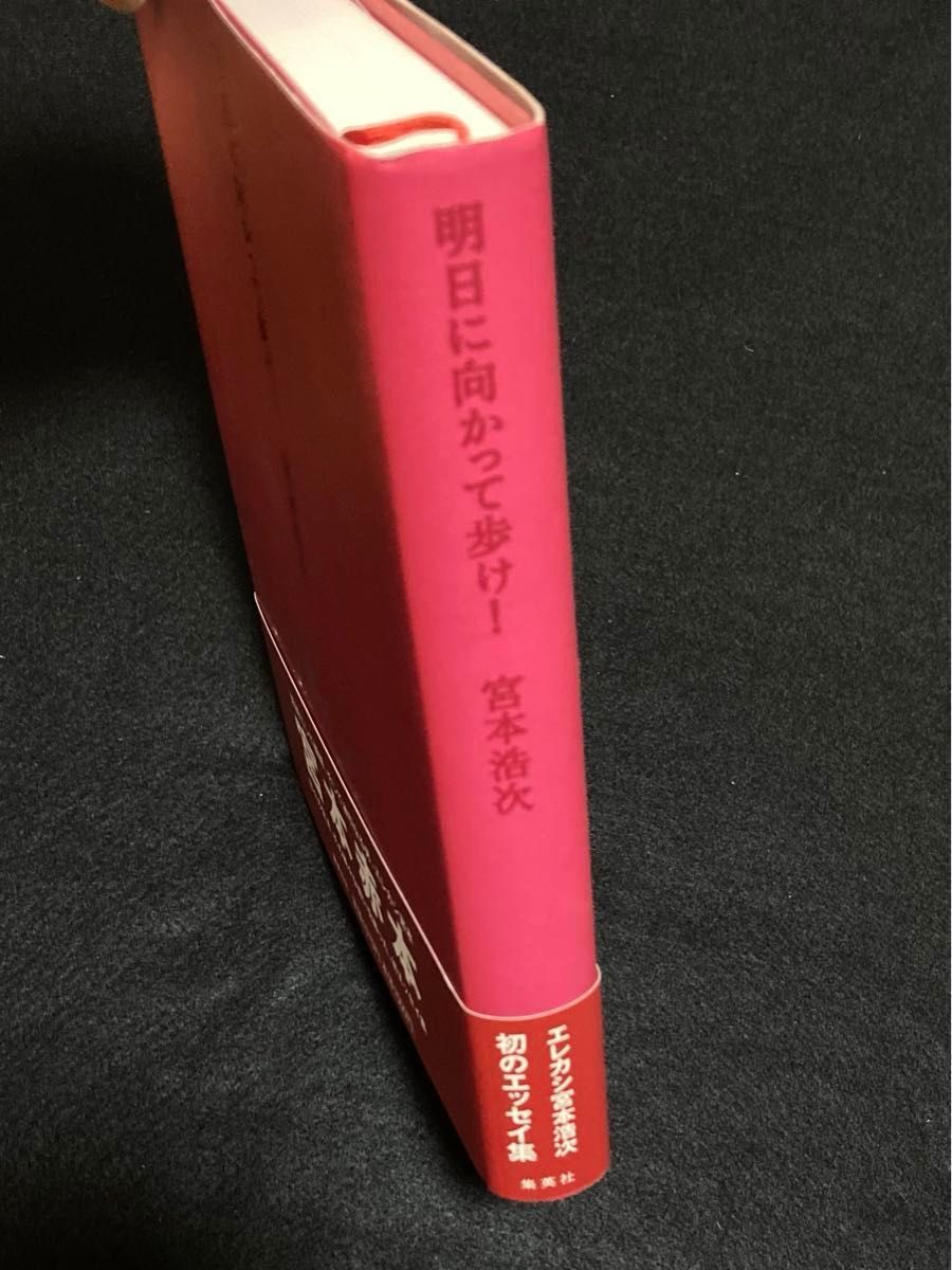 宮本浩次 『明日に向かって歩け 』エレファントカシマシ エレカシ 初版