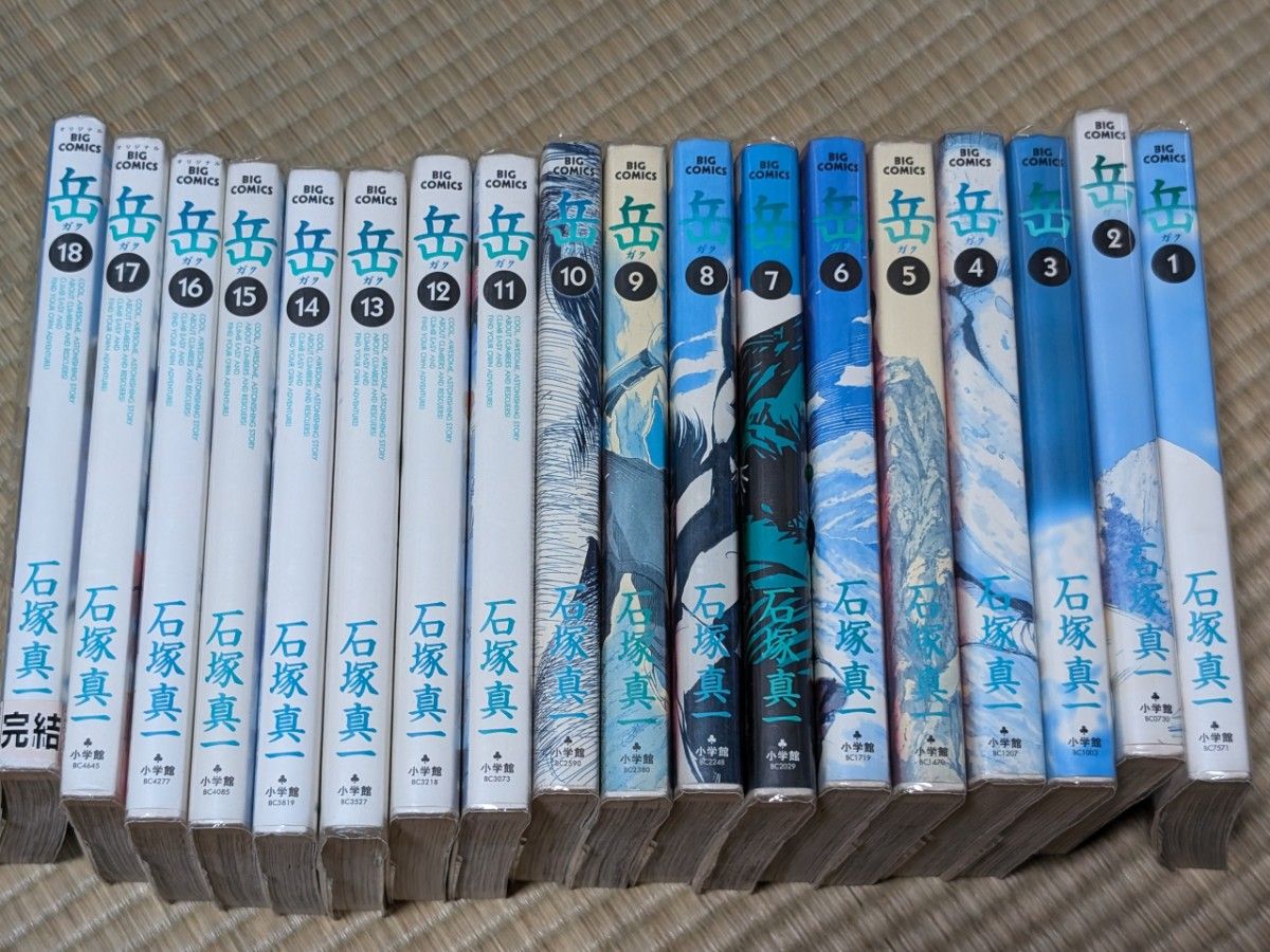 岳 全巻セット 初版 帯つき 石塚真一 岳 完全版 全巻9巻 全巻初版