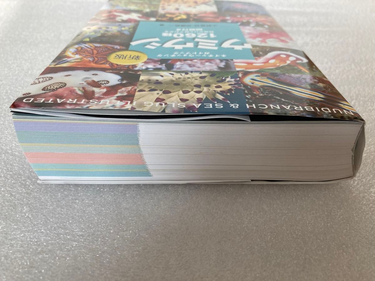 ウミウシ 図鑑 1260種｜Yahoo!フリマ（旧PayPayフリマ）