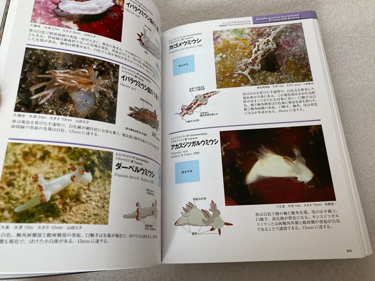 ウミウシ 図鑑 1260種｜Yahoo!フリマ（旧PayPayフリマ）