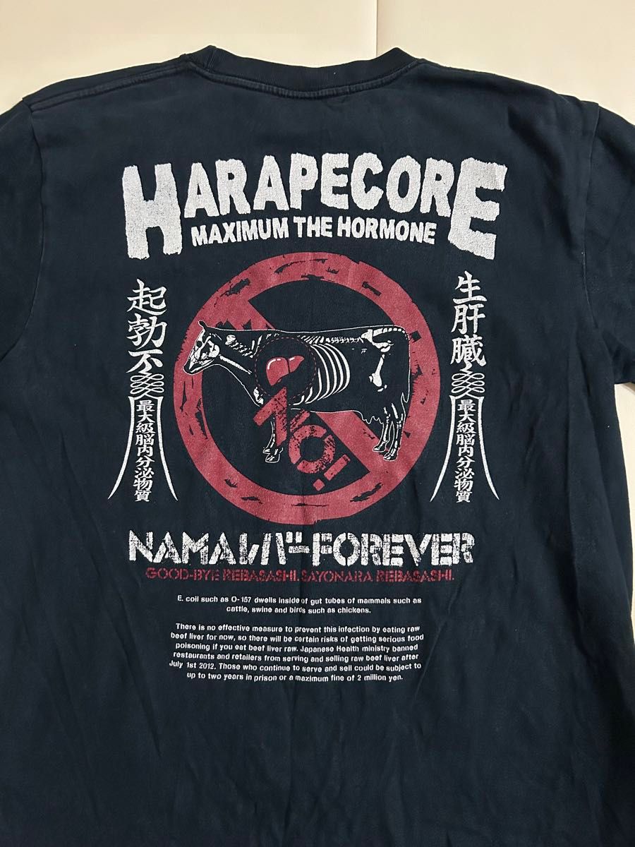 マキシマムザホルモン 10-FEET その他 バンドTシャツ まとめ売り 17点