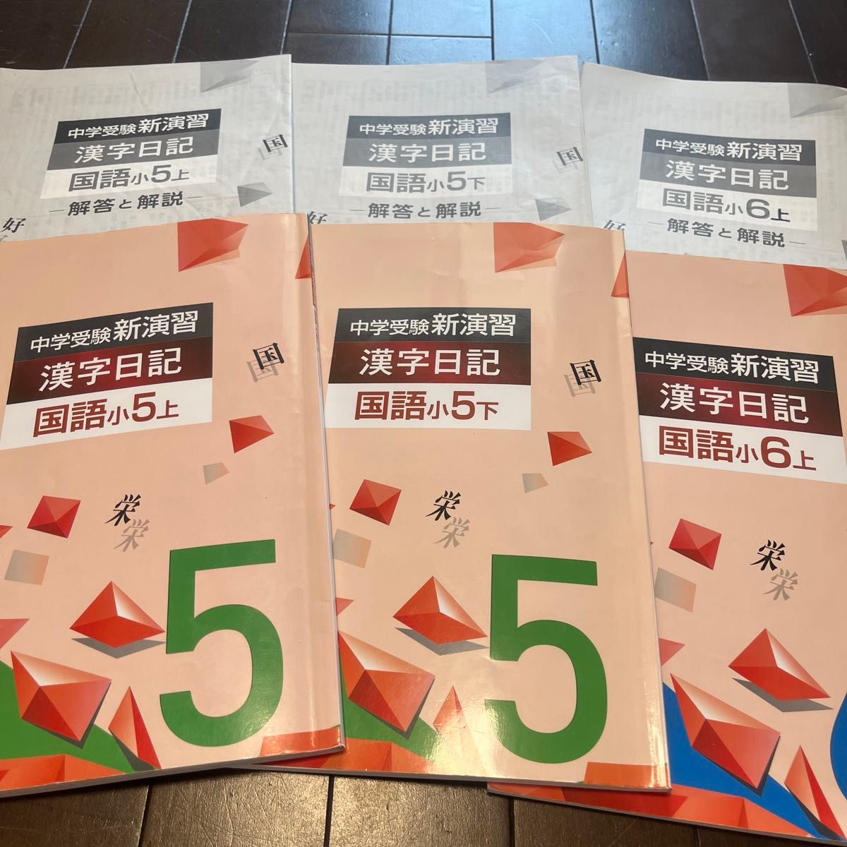 2022〜2023年度使用 中学受験 新演習 漢字日記 国語小5上 国語小5下