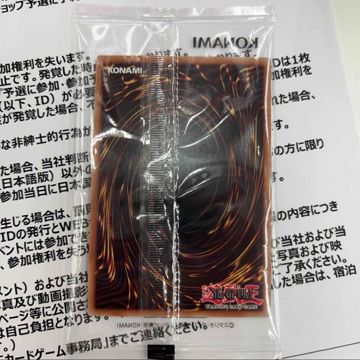 日本選手権 2024 2期 優勝プロモ 日本選手権 2024 ショップ予選 2期