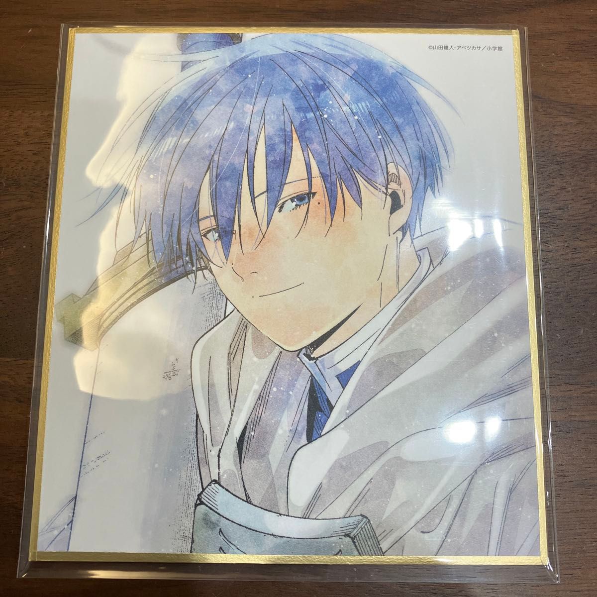 葬送のフリーレン Blu-ray DVD 特典 アベツカサ先生描き下ろしミニ色紙