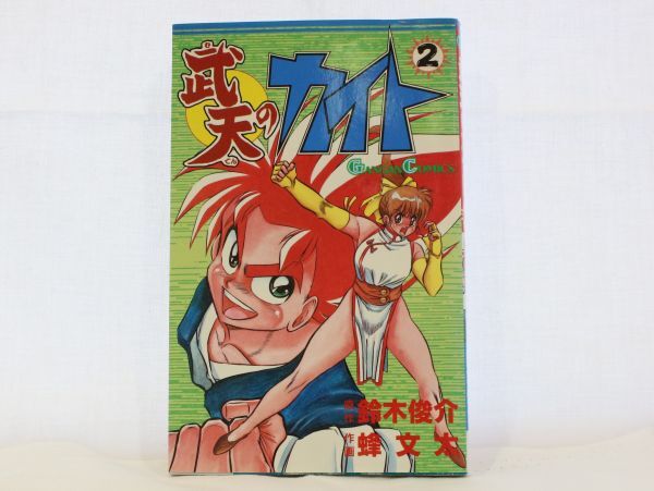 初版 武天のカイト 1 . 2 巻 値下げバラ売り不可 鈴木俊介 蜂 文太