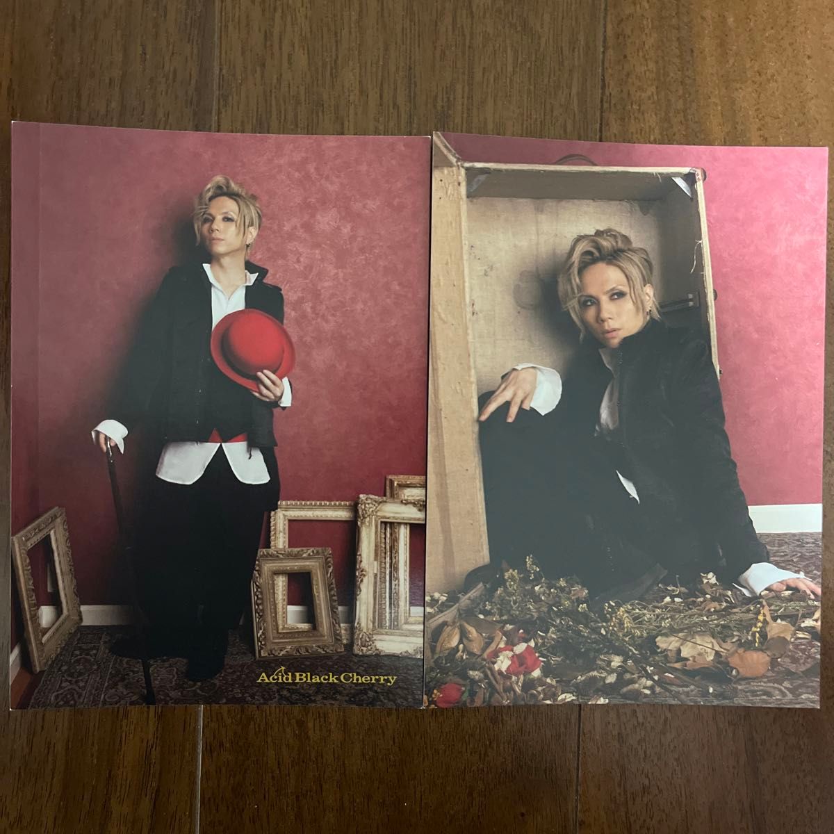 Acid Black Cherry ポストカード グッズセット レア｜Yahoo!フリマ（旧