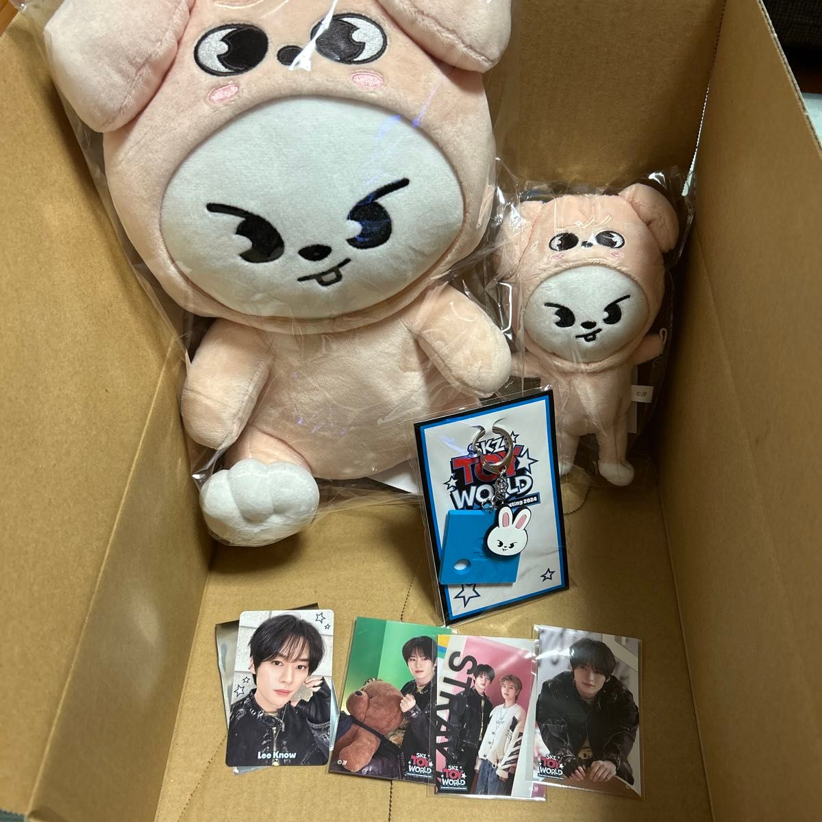 stray kids スキズ 抱きぬいぐるみ バッグチャーム グッズセット