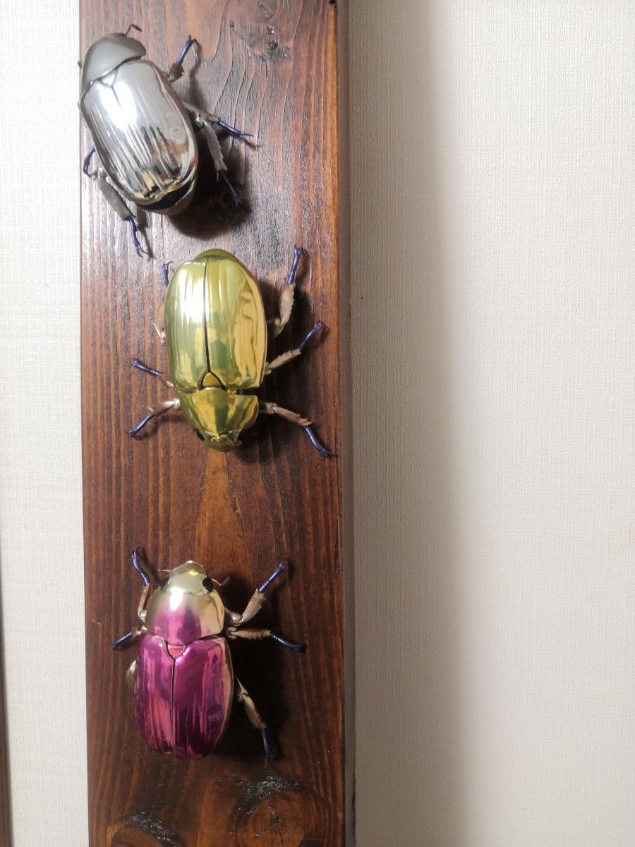 新品 いきもの大図鑑 プラチナコガネ レッド 4Dピン｜Yahoo!フリマ（旧