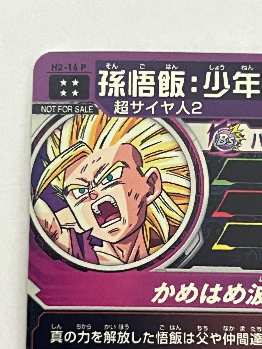 希少 SBDH ドラゴンボール 本家 旧弾 H2-16 psa10 孫悟飯 少年 激レア